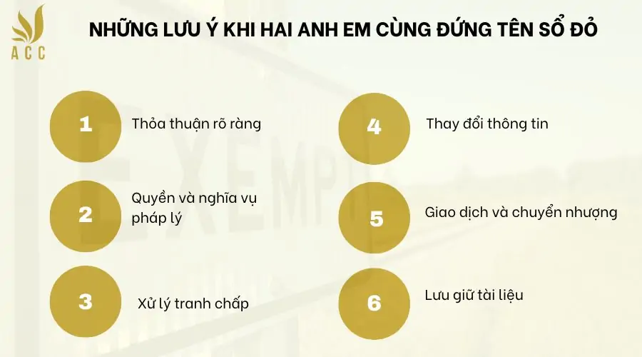 Những lưu ý khi hai anh em cùng đứng tên sổ đỏ