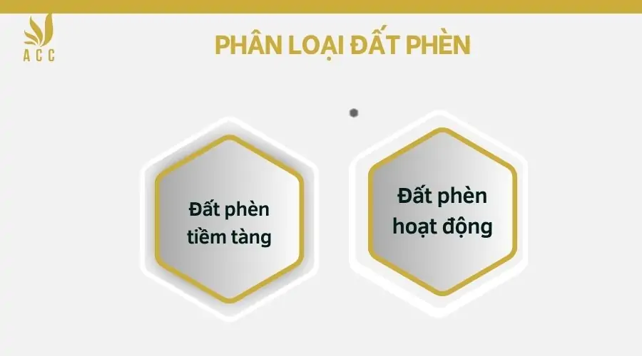 Phân loại đất phèn