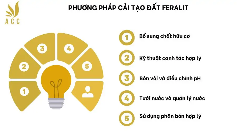 Phương pháp cải tạo đất feralit