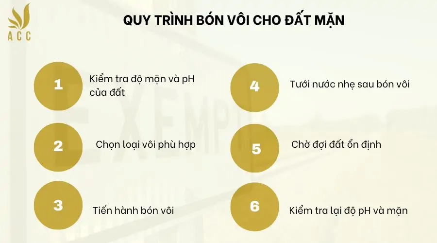 Quy trình bón vôi cho đất mặn