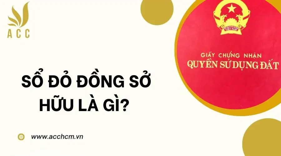 Sổ đỏ đồng sở hữu là gì