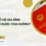 Sổ đỏ hộ gia đình con dâu có được chia không?