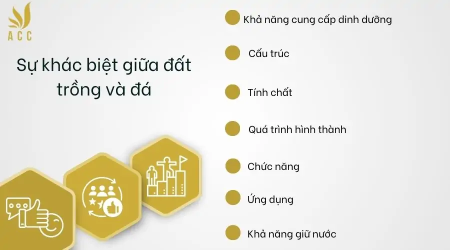 Sự khác biệt giữa đất trồng và đá