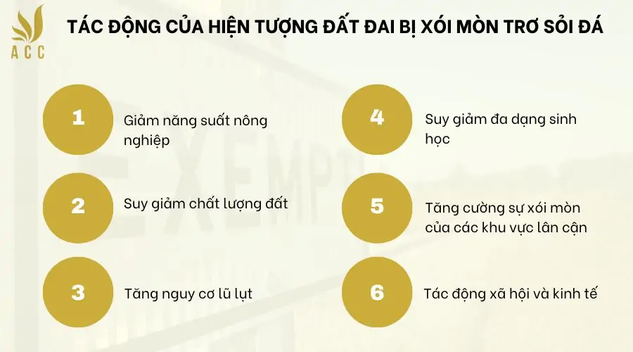 Tác động của hiện tượng đất đai bị xói mòn trơ sỏi đá