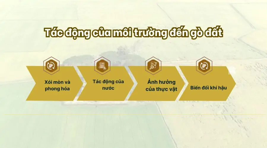 Tác động của môi trường đến gò đất