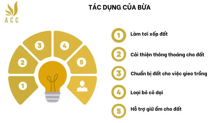 Tác dụng của bừa