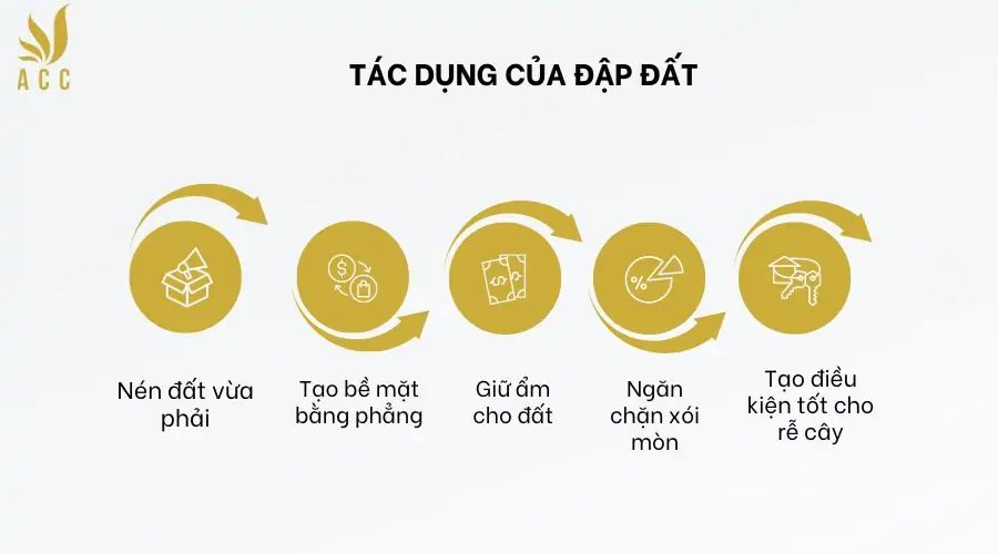 Tác dụng của đập đất