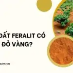 Tại sao đất feralit có màu đỏ vàng