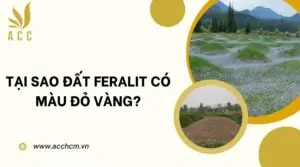 Gò đất là gì?