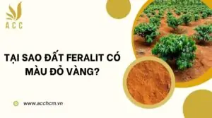 Tại sao đất feralit có màu đỏ vàng