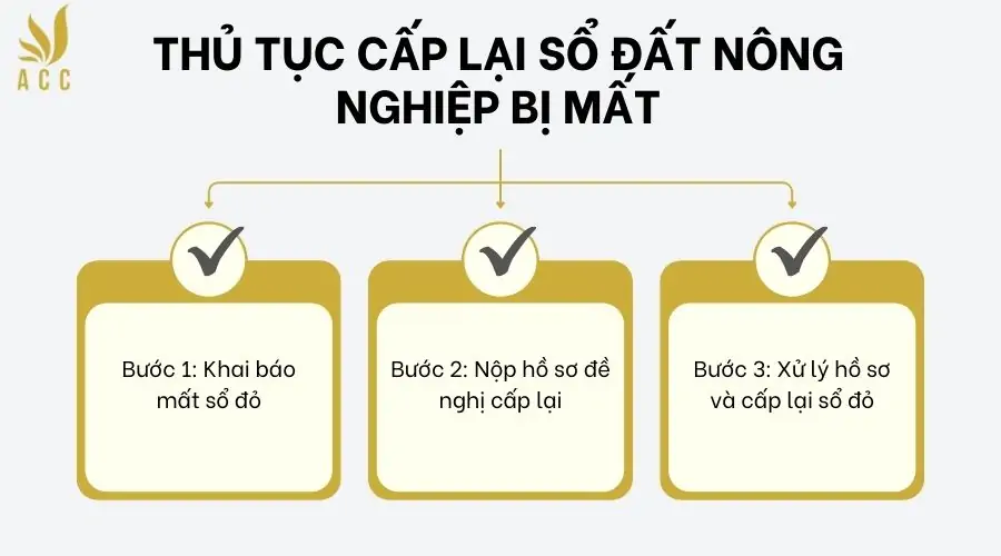 Thủ tục cấp lại sổ đất nông nghiệp bị mất