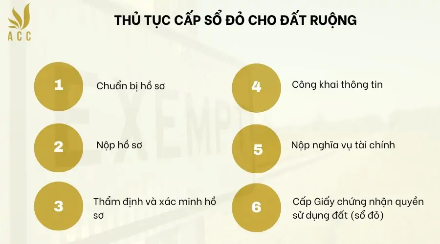 Thủ tục cấp sổ đỏ cho đất ruộng