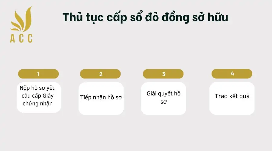 Thủ tục cấp sổ đỏ đồng sở hữu