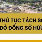 Thủ tục tách sổ đỏ đồng sở hữu