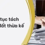 Thủ tục tách thửa đất thừa kế