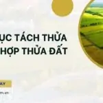 Thủ tục tách thửa hoặc hợp thửa đất