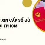 Thủ tục xin cấp sổ đỏ tại TPHCM