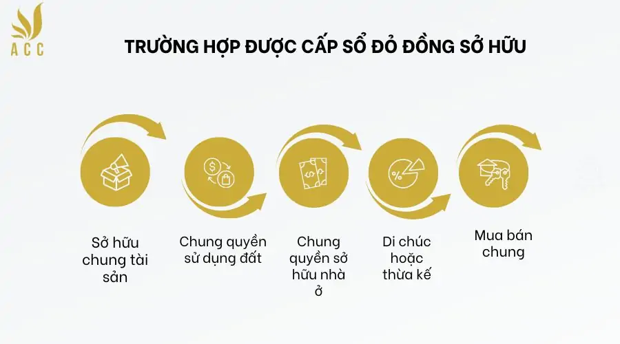 Trường hợp được cấp sổ đỏ đồng sở hữu