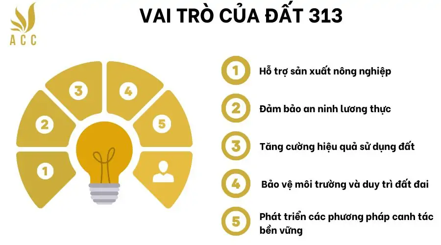 Vai trò của đất 313