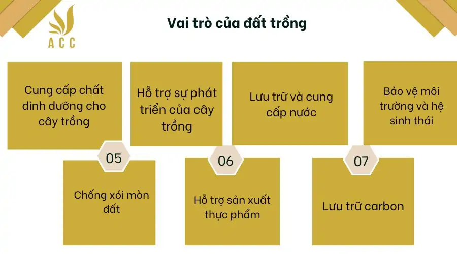 Vai trò của đất trồng