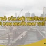 Vai trò của môi trường đất đối với con người như thế nào (1)