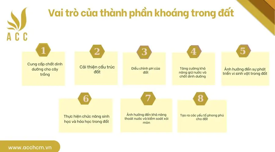 Vai trò của thành phần khoáng trong đất