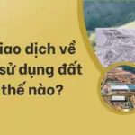 Các giao dịch về quyền sử dụng đất như thế nào?