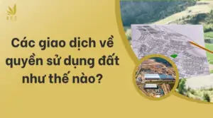 Các giao dịch về quyền sử dụng đất như thế nào?