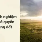 Các kinh nghiệm đấu giá quyền sử dụng đất