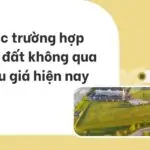 Các trường hợp giao đất không qua đấu giá hiện nay