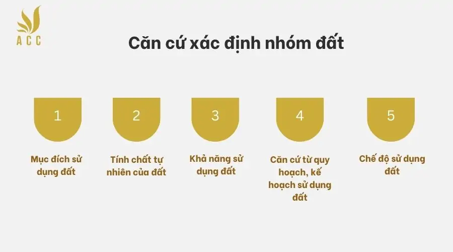 Căn cứ xác định nhóm đất