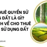 Cho thuê quyền sử dụng đất là gì Quy định về cho thuê quyền sử dụng đất