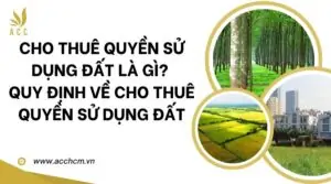 Cho thuê quyền sử dụng đất là gì Quy định về cho thuê quyền sử dụng đất