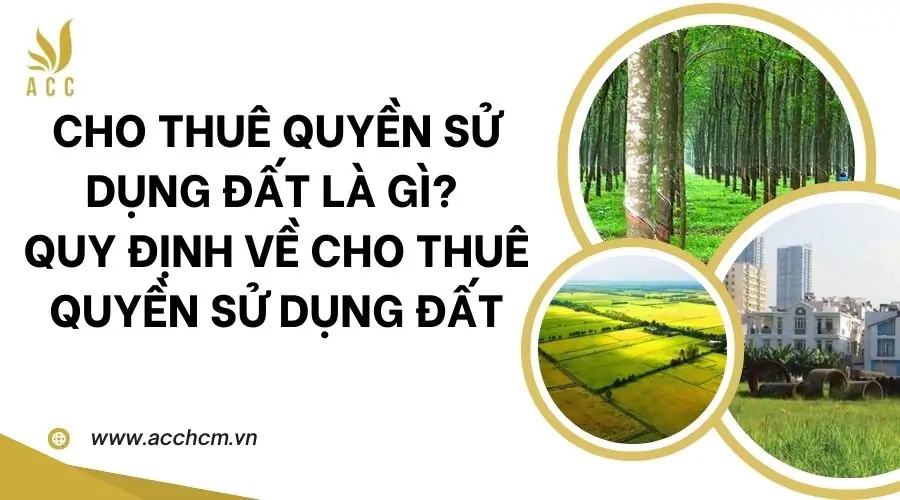 Cho thuê quyền sử dụng đất là gì Quy định về cho thuê quyền sử dụng đất