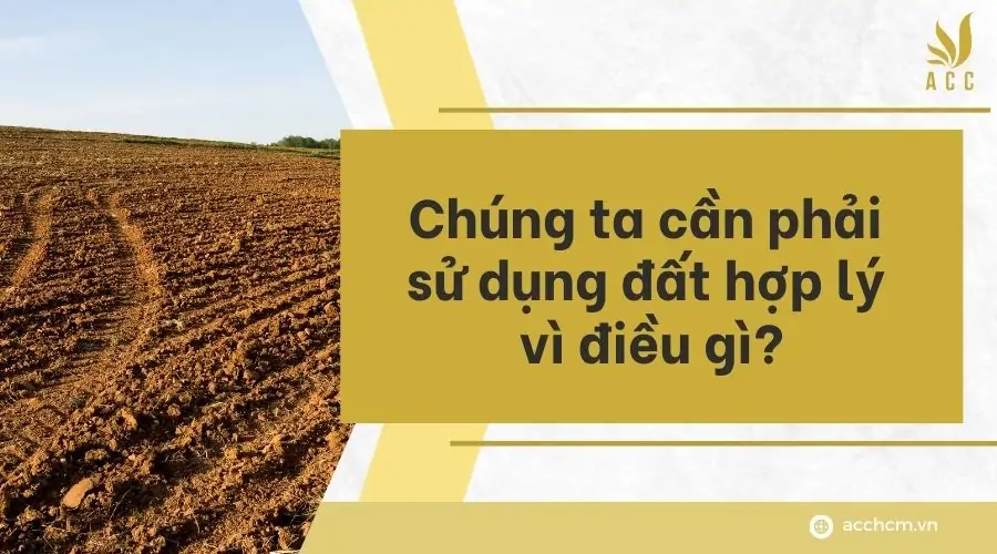 Chúng ta cần phải sử dụng đất hợp lí vì điều gì?