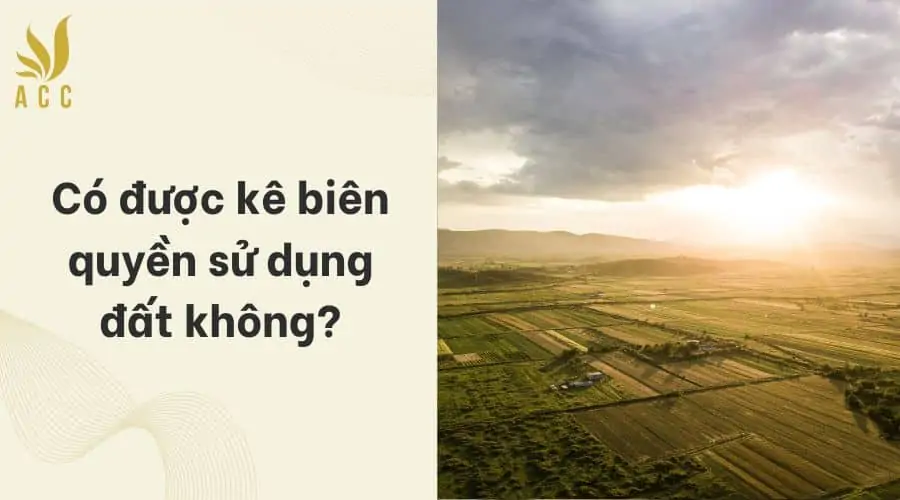 Có được kê biên quyền sử dụng đất không