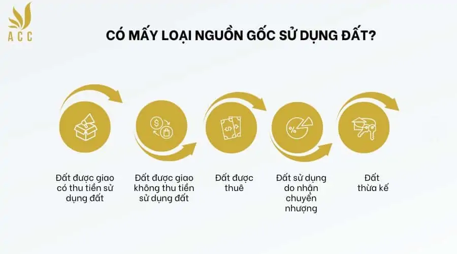 Có mấy loại nguồn gốc sử dụng đất