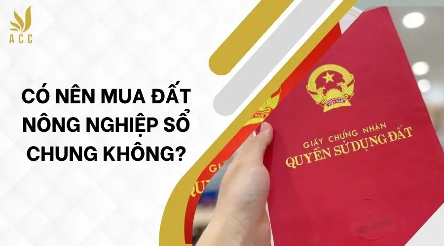 Có nên mua đất nông nghiệp sổ chung_ không