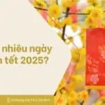 Còn bao nhiêu ngày nữa đến tết 2025