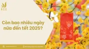 Còn bao nhiêu ngày nữa đến tết 2025