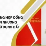 Công chứng hợp đồng chuyển nhượng quyền sử dụng đất