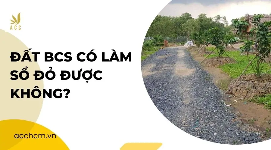 Đất BCS