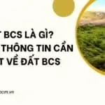 Đất BCS là gì Những thông tin cần thiết về đất BCS