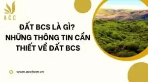 Đất BCS là gì Những thông tin cần thiết về đất BCS