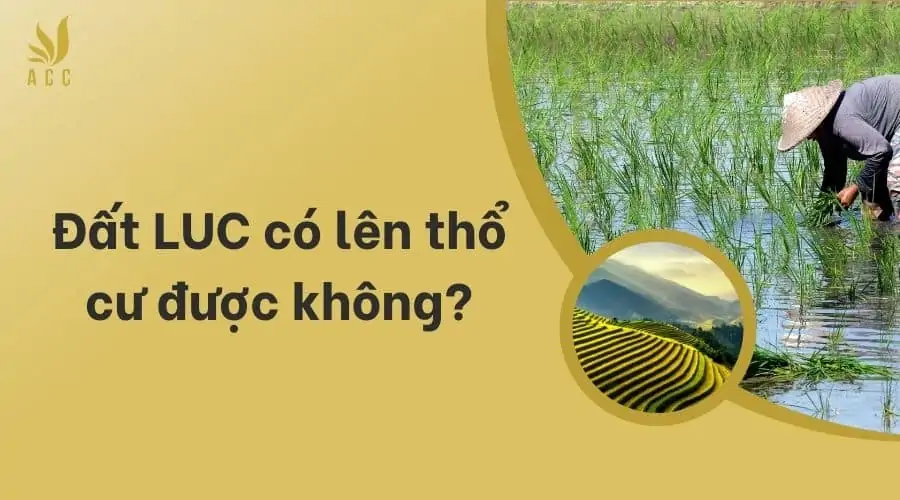 Đất LUC có lên thổ cư được không_