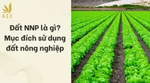 Đất NNP là gì_ Mục đích sử dụng đất nông nghiệp