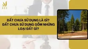 Đất chưa sử dụng là gì Đất chưa sử dụng gồm những loại đất gì