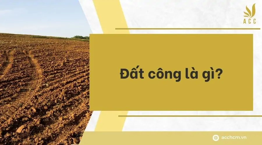 Đất công là gì