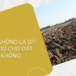 Đất lưu không là gì_ Cấp sổ đỏ cho đất lưu không_