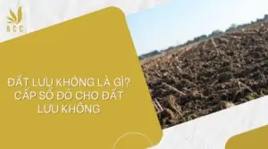 Đất lưu không là gì_ Cấp sổ đỏ cho đất lưu không_